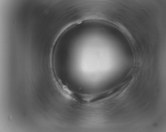 X0000069831246200605261833