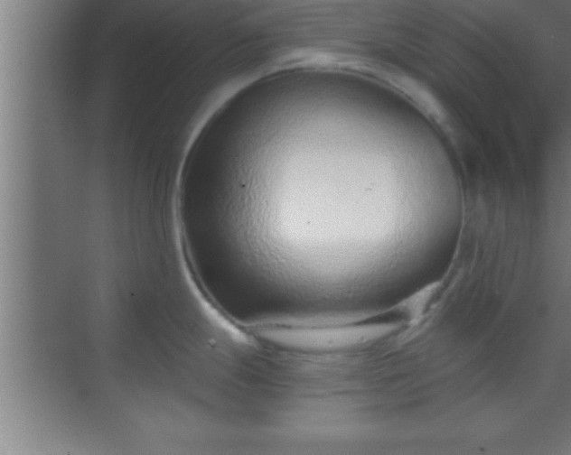 X0000069831247200605261833