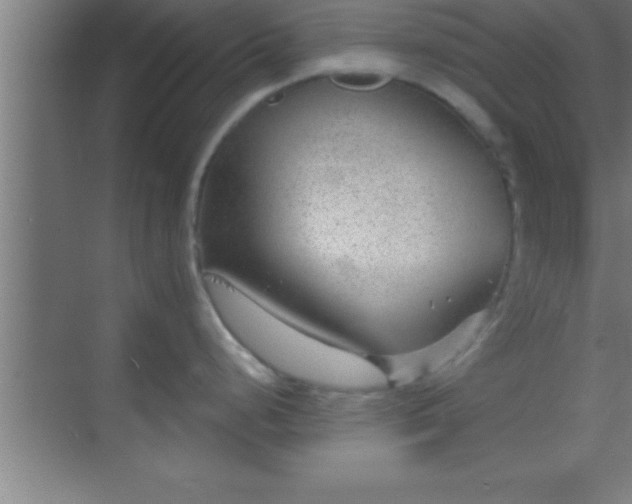 X0000069831248200605261833