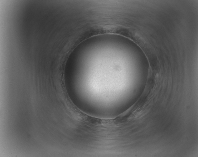 X0000069831249200605261832