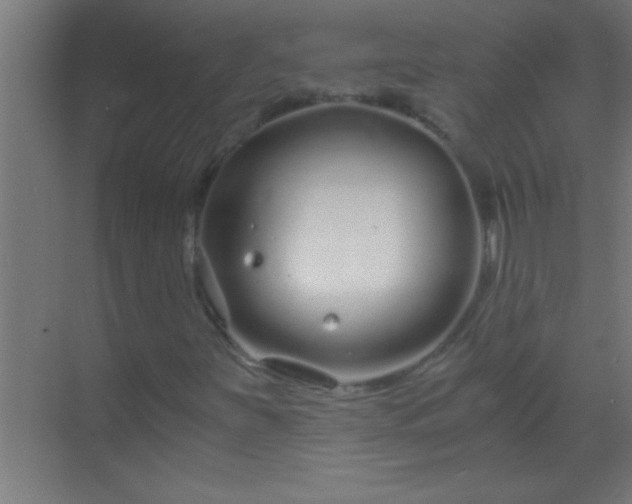 X0000069831251200605261832