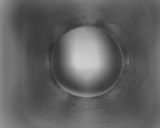 X0000069831252200605261832