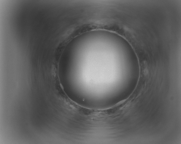 X0000069831253200605261832