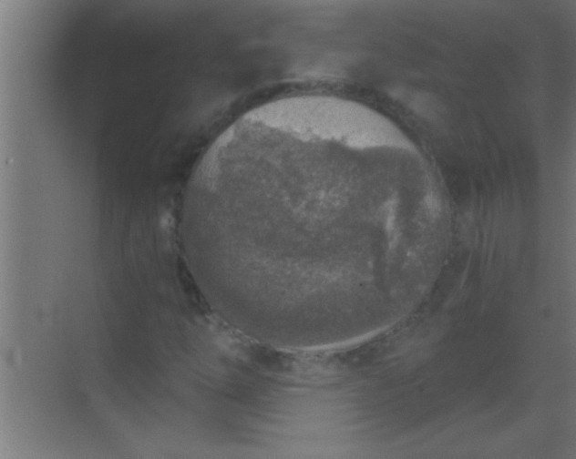 X0000069831254200605261832