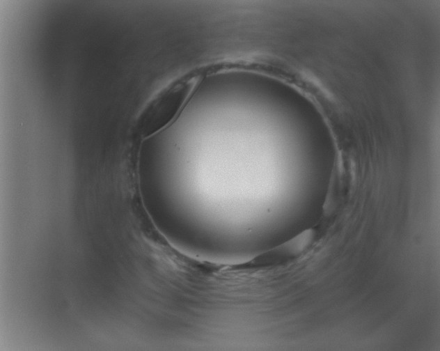 X0000069831256200605261832