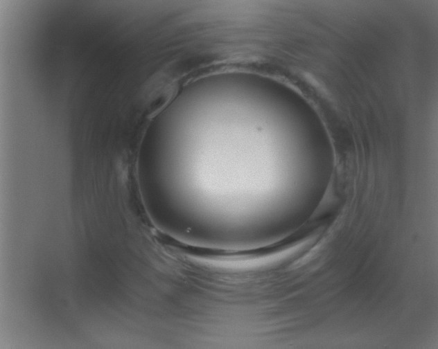 X0000069831257200605261832