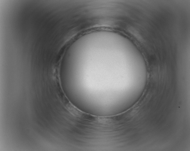 X0000069831258200605261832