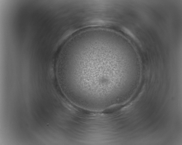 X0000069831259200605261832