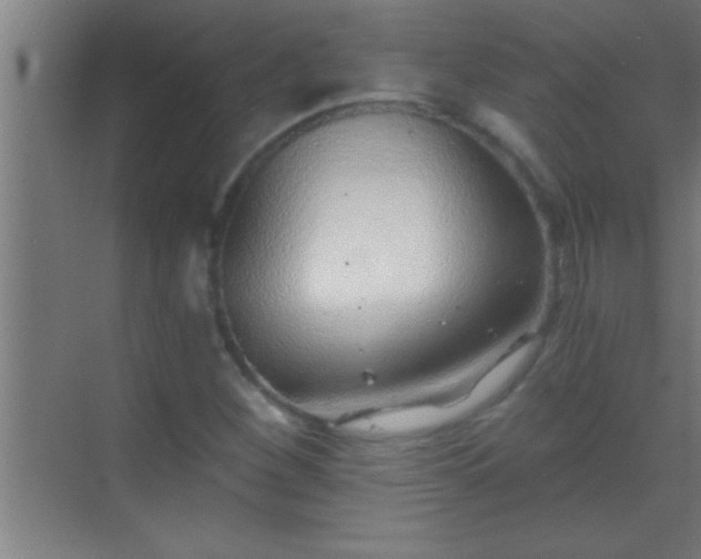 X0000069831260200605261832