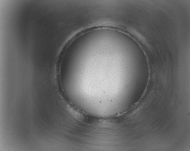 X0000069831264200605261832