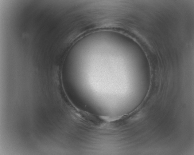 X0000069831265200605261832