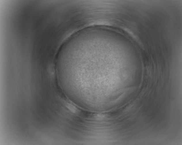 X0000069831266200605261832