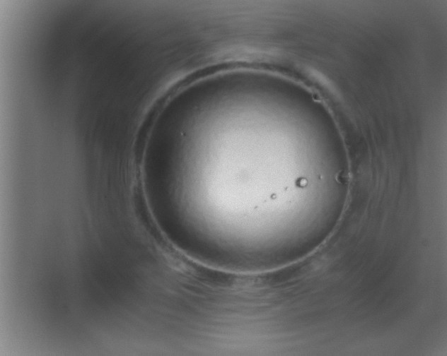 X0000069831267200605261832