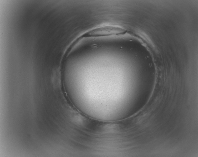 X0000069831268200605261832