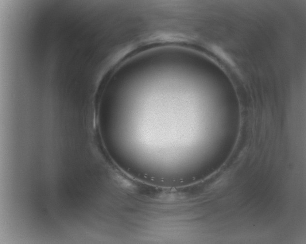 X0000069831269200605261832