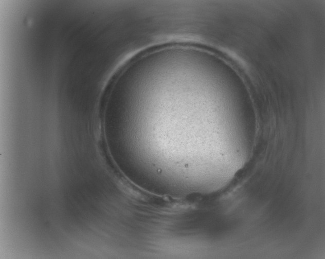 X0000069831271200605261831