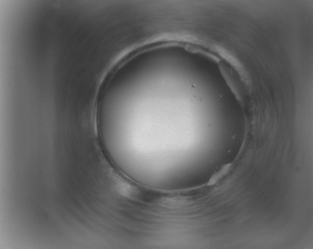 X0000069831272200605261831