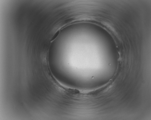 X0000069831273200605261831