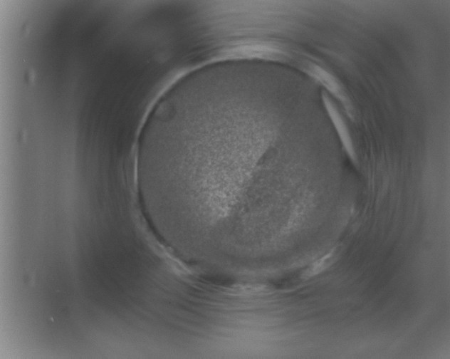 X0000069831275200605261831