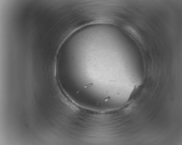 X0000069831276200605261831