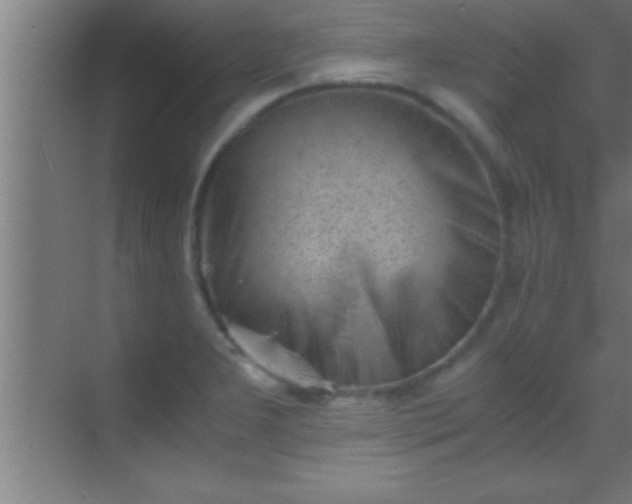 X0000069831277200605261831