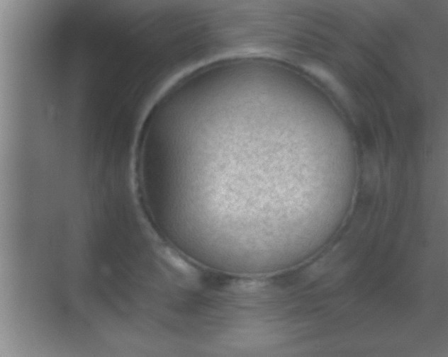 X0000069831278200605261831