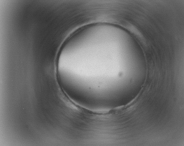 X0000069831280200605261831