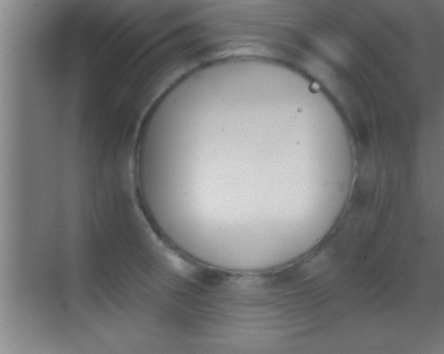 X0000069831282200605261831