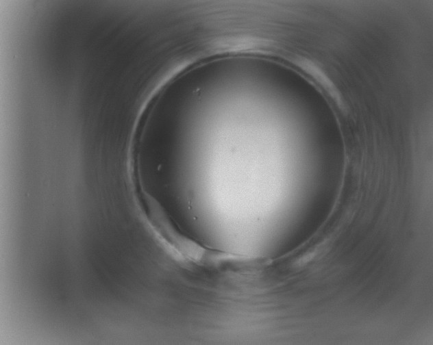 X0000069831285200605261831