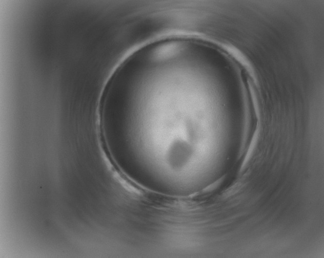 X0000069831287200605261831