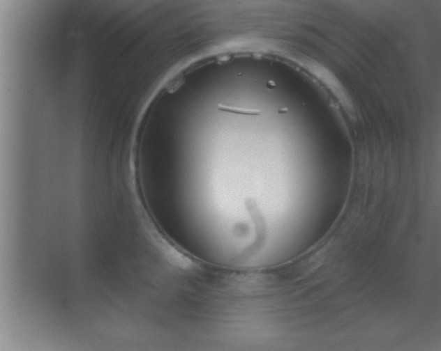 X0000069831288200605261831