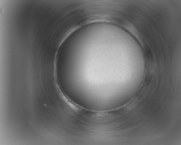 X0000069831290200605261831