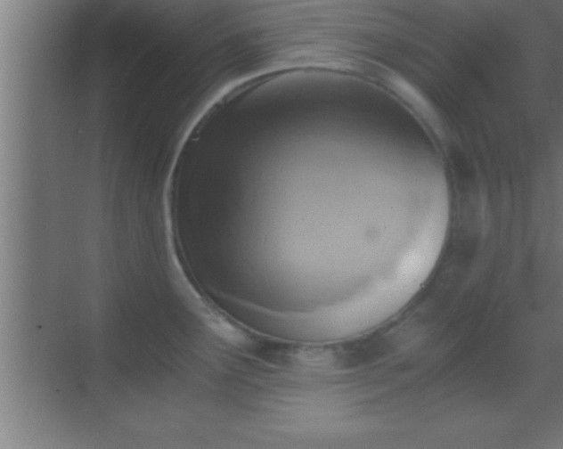 X0000069831291200605261831