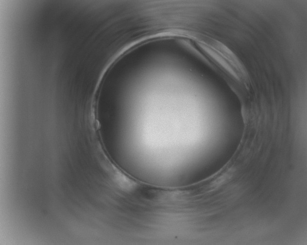 X0000069831292200605261831