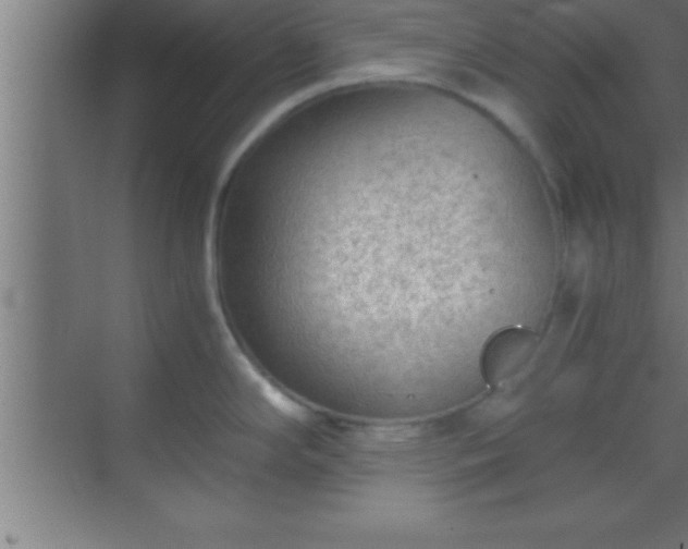 X0000069831294200605261831