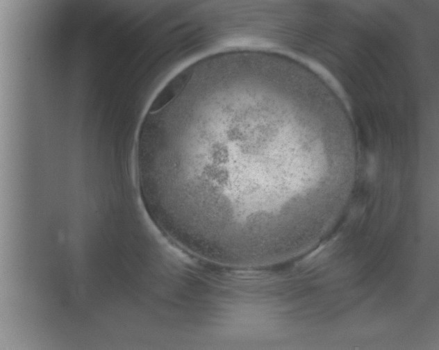 X0000069831295200605261831