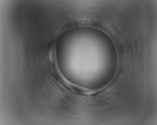 X0000069831298200605261830