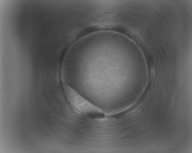 X0000069831300200605261830