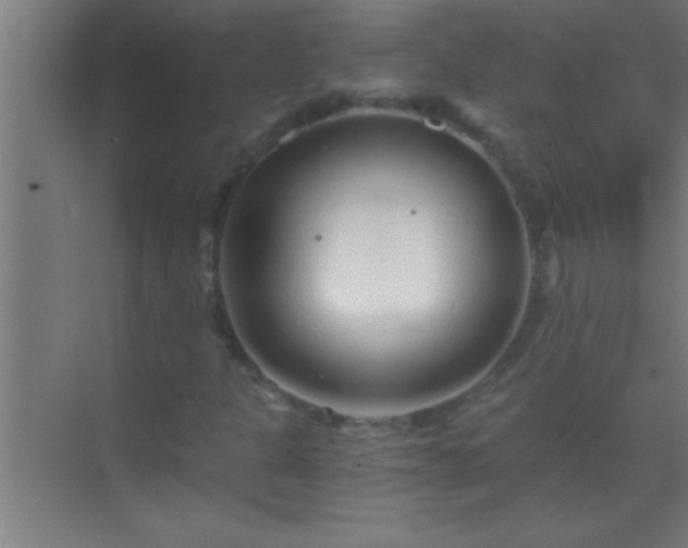 X0000069831301200605261830