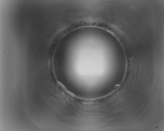 X0000069831302200605261830