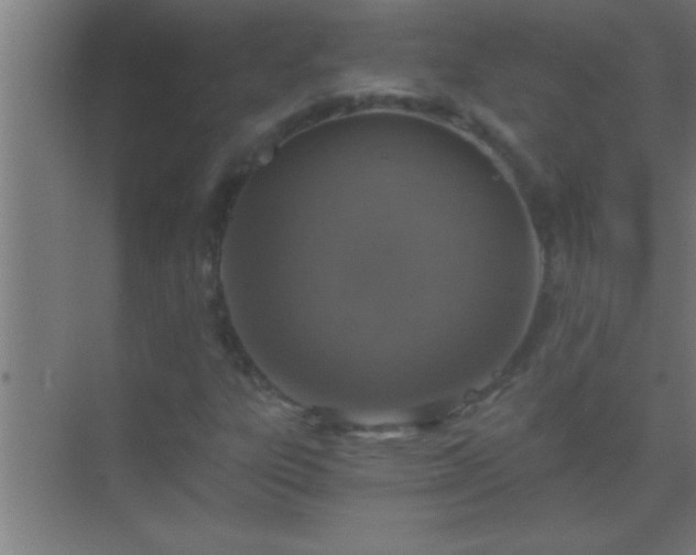 X0000069831303200605261830