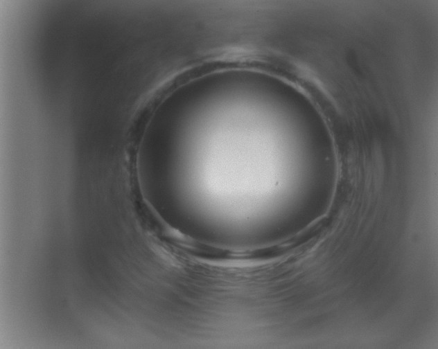 X0000069831304200605261830