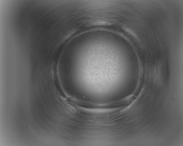 X0000069831305200605261830