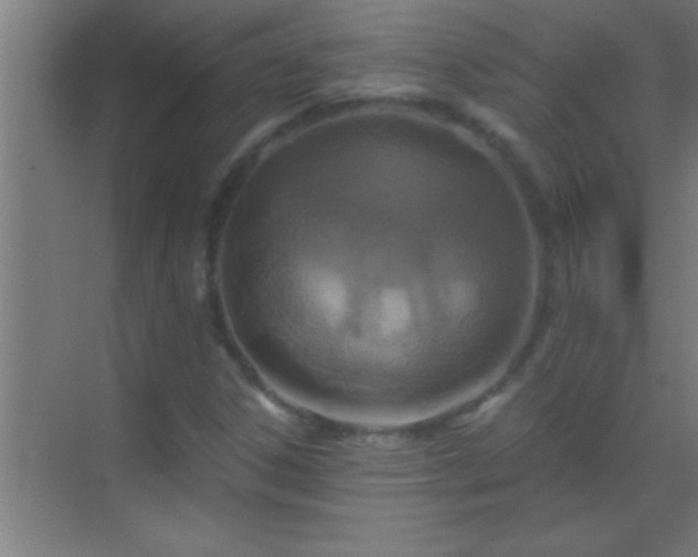 X0000069831306200605261830