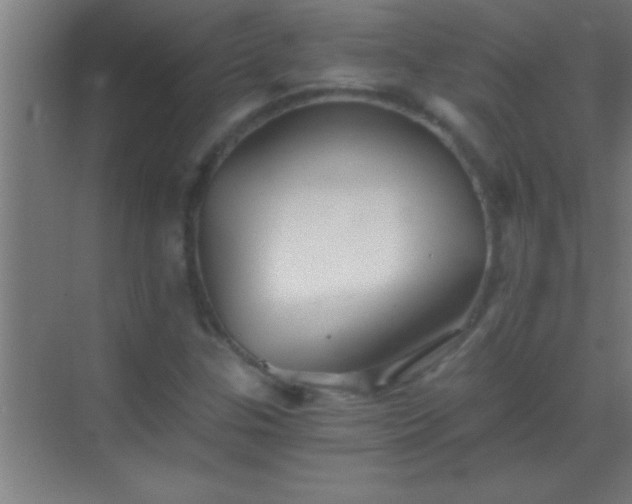 X0000069831307200605261830