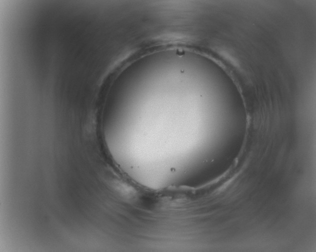 X0000069831309200605261830