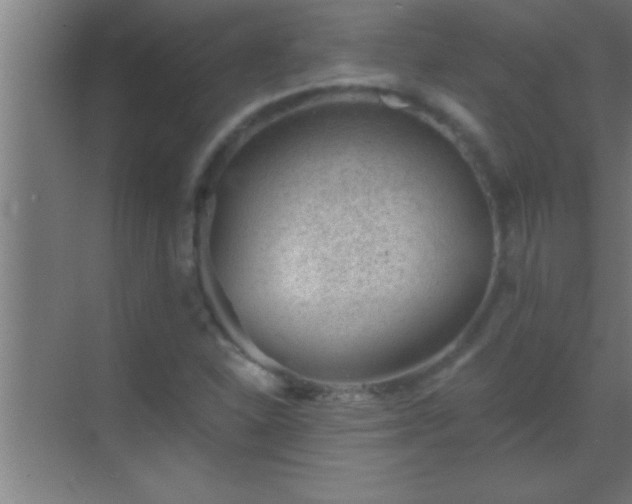 X0000069831310200605261830