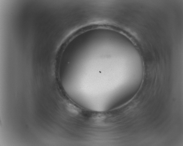 X0000069831311200605261831