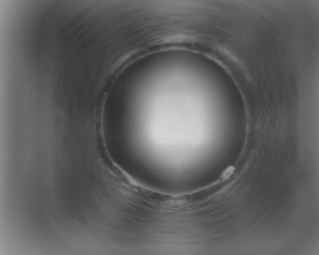 X0000069831313200605261831