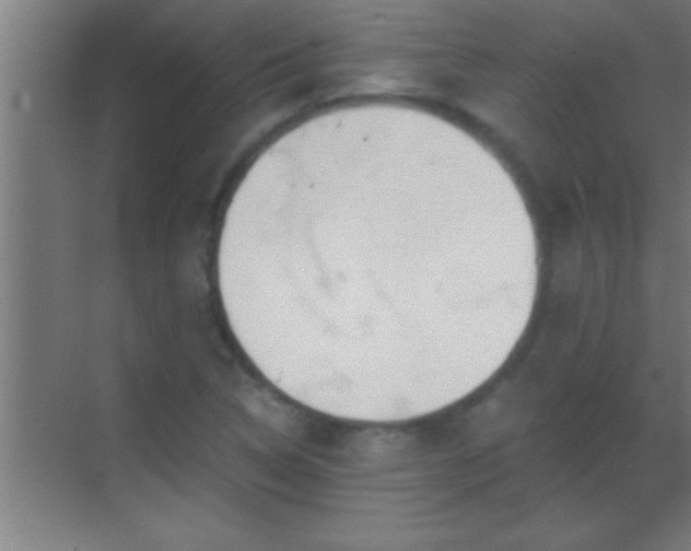 X0000069831314200605261831